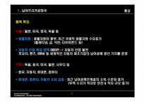 남아공에 대한 이해와 남아공 IT산업진출-11