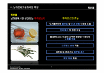 남아공에 대한 이해와 남아공 IT산업진출-14
