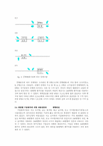 청주공항의 풍향에 관한 이․착륙 예보기법 도출-3