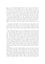 촉매반응기실험-10