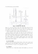촉매반응기실험-12