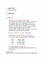 BJT의 특성 레포트-2