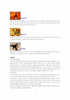 의식주행으로 살펴본 중국문화-15