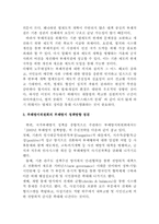 참여정부의 반부패 청정사회 실현-8