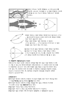 [기하학] 한붓그리기, 위상수학-5
