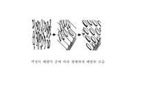 LCD의 구조와 특징-3