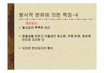 [일본문화] 일본음식문화-11