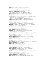 [일본문화] 일본의 전통문화 스모-11