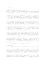 [일본문화] 일본의 전통문화 스모-18