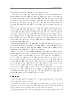 [정치외교]정치인종분쟁의 원인-10