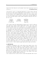 [정치외교]정치인종분쟁의 원인-11