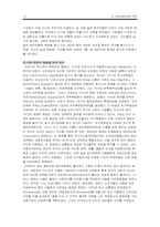 [정치외교]정치인종분쟁의 원인-14