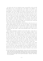 [정치학] 환경문제와 각국의 외교정책-17
