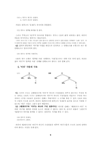 [논문요약][형태론] 엄정호의 ‘소위 지정사 구문의 통사구조’ 요약-6