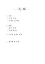 [문학과영화] 영화와 소설 `사랑방손님과 어머니`비교분석-2
