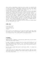 [일본문화] 삿포로 눈꽃축제-3