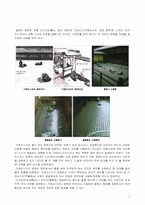 [일본문화] 일본의 정원에 대하여-2