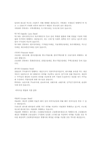 국채와 회사채의 유형과 실태-3