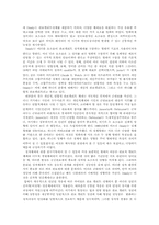 [비교행정] 개발도상국 정권의 분류-6