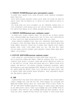 [비교행정] 개발도상국 정권의 분류-9