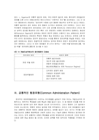 [비교행정] 개발도상국의 행정체제-6
