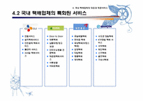 [경영]전자상거래의 증가에 따른 국내 택배업계의 대응과 발전 방향 연구-11