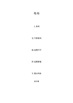 [공학]포사체의 포물선운동 예비Report-2
