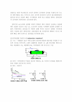 [공학]사이리스터(SCR)이용한 발전기 AVR-12