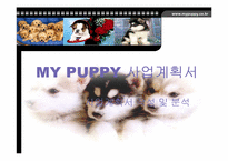 [사업계획서]애견의복사업계획서-1