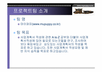 [사업계획서]애견의복사업계획서-3