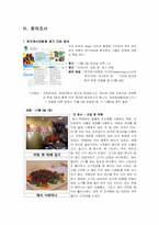 [생활과학]채식보고서-5