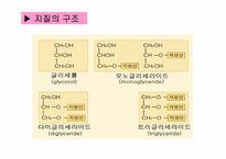 [생활과학]지질(Lipid)-3