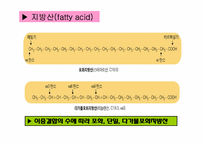 [생활과학]지질(Lipid)-4