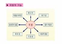 [생활과학]지질(Lipid)-10