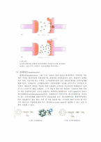 [의학]중추신경흥분제-3