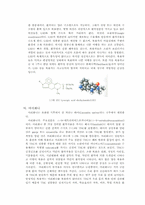 [의학]중추신경흥분제-7