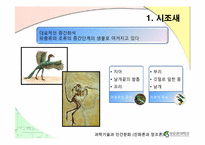 [인문]진화론과 창조론-15