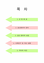 [증권시장론] 금산분리제도에 대하여-2