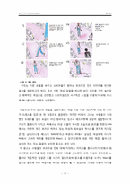 [소비자행동] 리바이스 프리미엄 진 태도변화-19