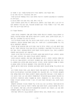 [마케팅] Bosin-2009의 마케팅전략-13