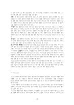 [마케팅] Bosin-2009의 마케팅전략-15