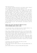 [지역관광론] 관광의 사회 문화적 영향 번역-11