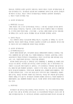[정치경제학] 경기변동의 원인과 서브프라임의 경기변동론적 해석-6