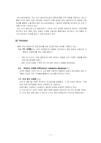 [마케팅] 삼성르노자동차 새로운 모델 마케팅 전략-11