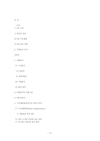 [마케팅] 삼성르노자동차 새로운 모델 마케팅 전략-12