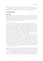 [국제경영전략] 뉴스타 광학 대구 지역 중소기업의 국제 경영전략 수립-12