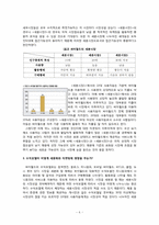 싸이월드 마케팅 분석-6