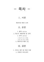 [관광서비스론] 캐리비안 베이 서비스분석-2