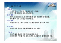 [해양관광론] 국내 크루즈사업-16