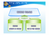 [해양관광론] 마리나, 요트-5